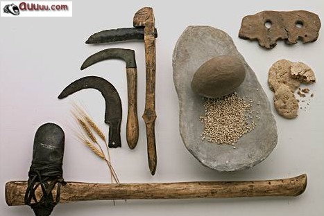 mesopotamia farming tools